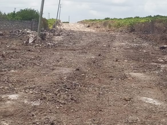 6.5 Acres Sandy Beach in Watamu for sale