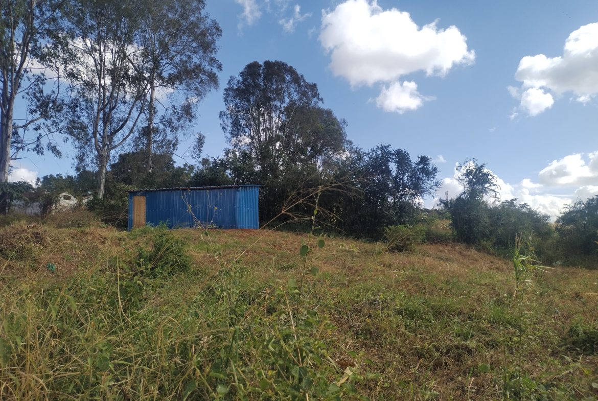 40by80 commercial plots for sale in Thika