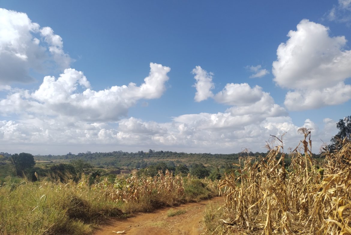 40by80 commercial plots for sale in Thika