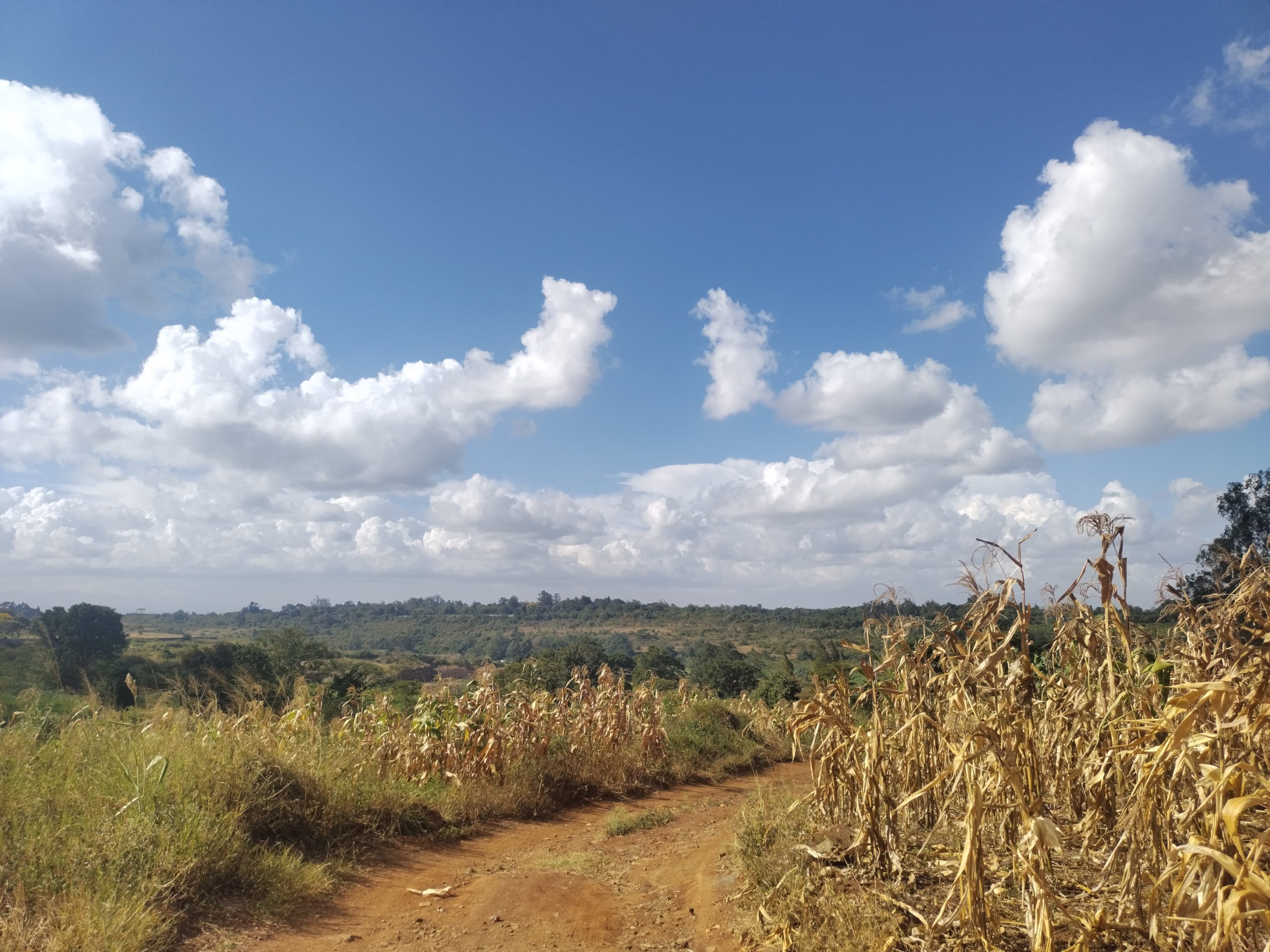 40by80 commercial plots for sale in Thika