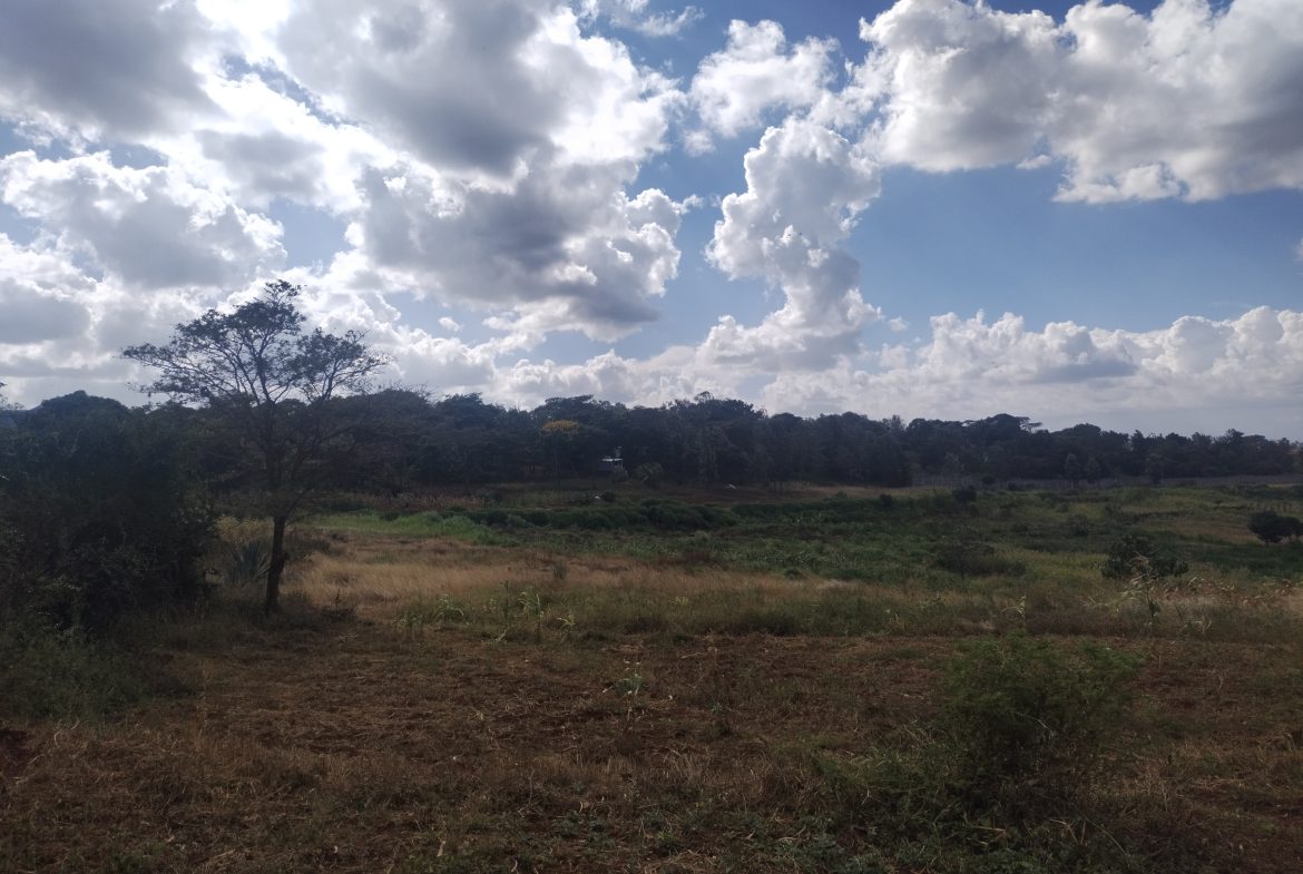 40by80 commercial plots for sale in Thika