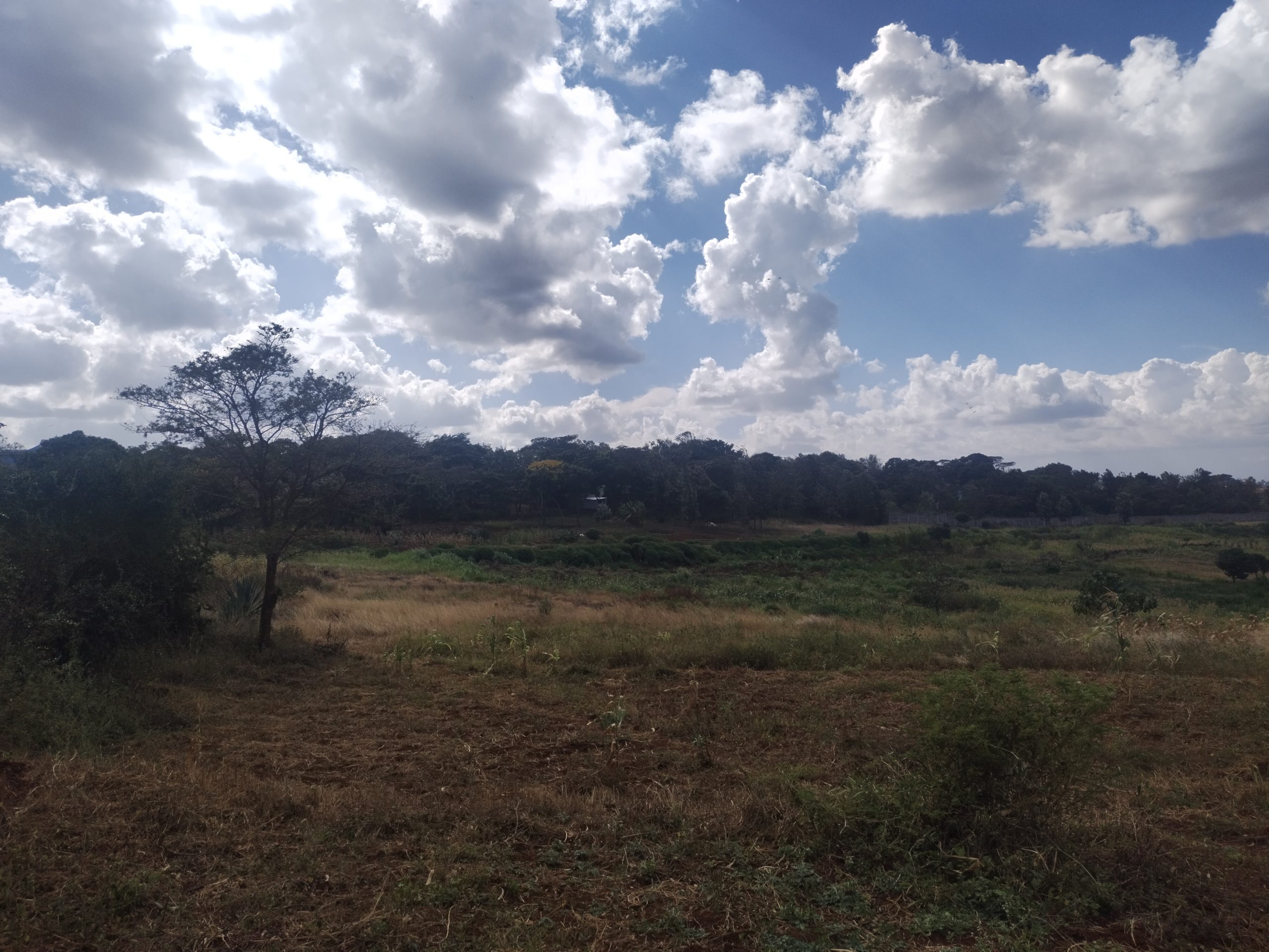 40by80 commercial plots for sale in Thika