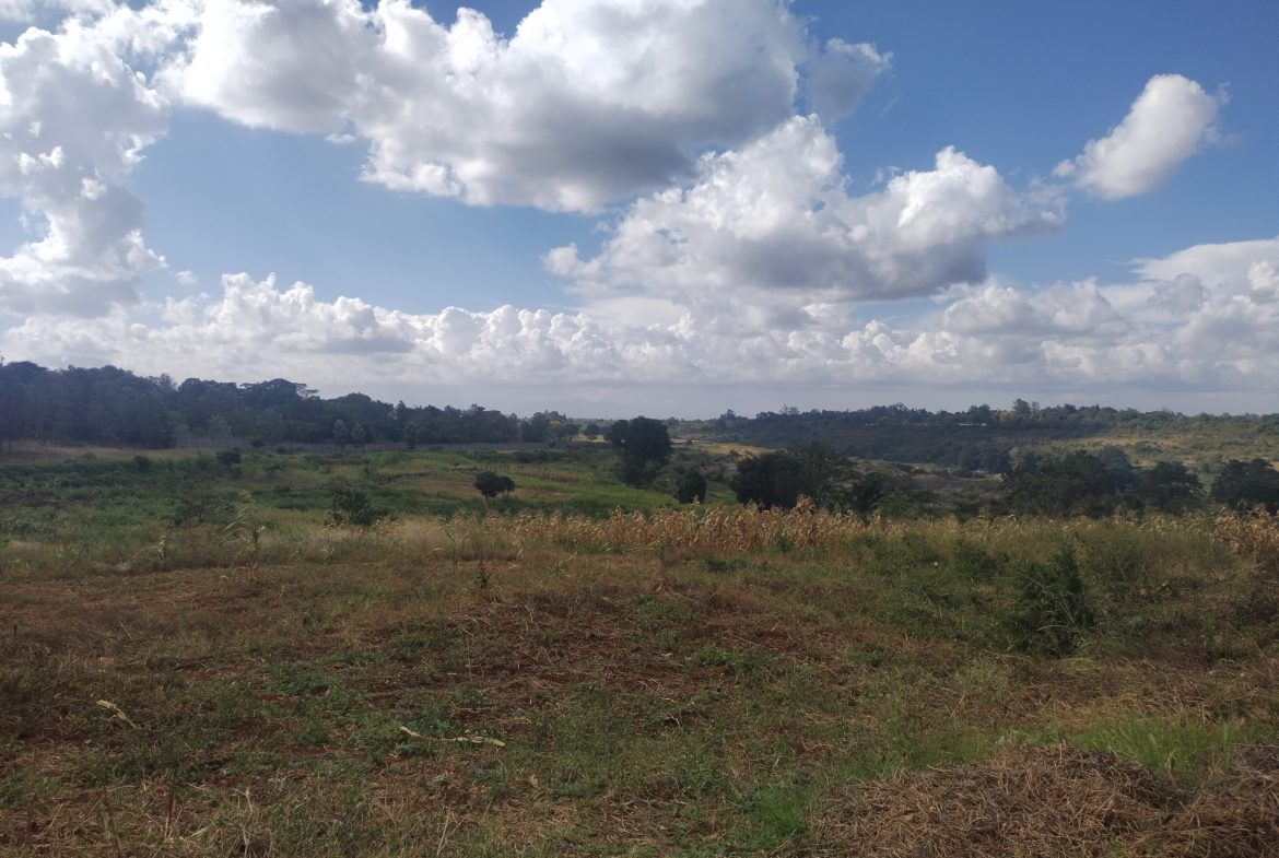 40by80 commercial plots for sale in Thika