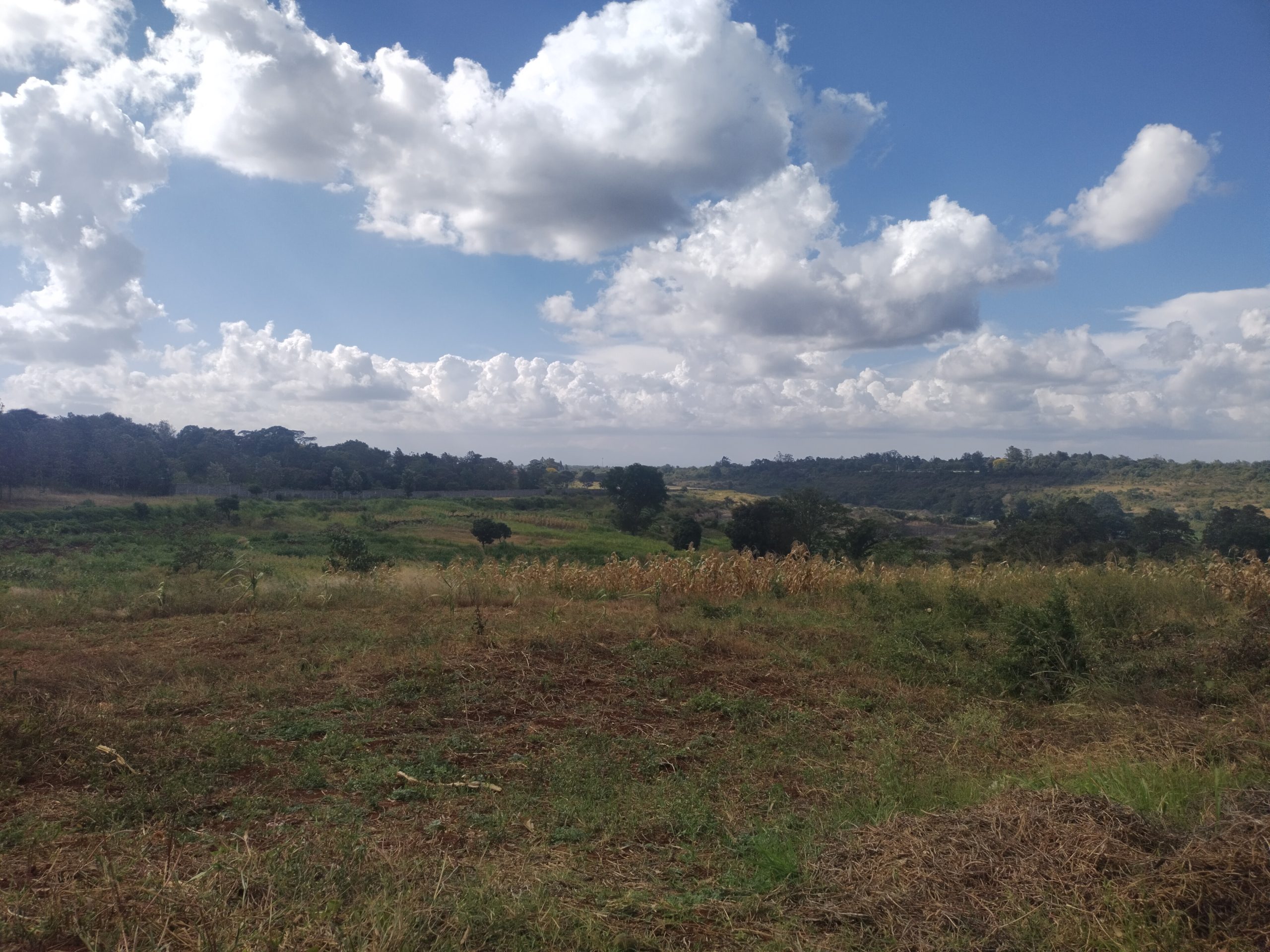 40by80 commercial plots for sale in Thika