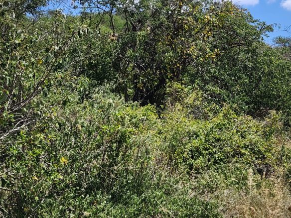 150 acre ranch for sale in Mailua Kajiado county