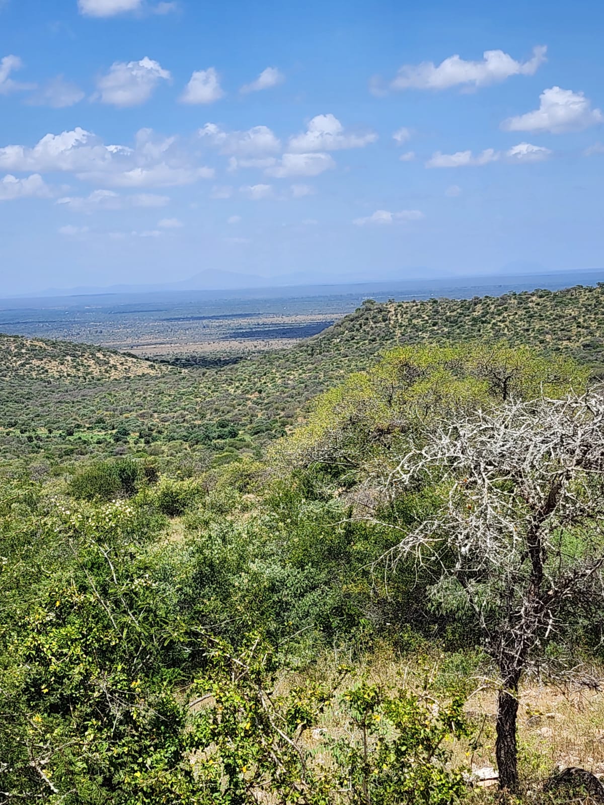 150 acre ranch for sale in Mailua Kajiado county