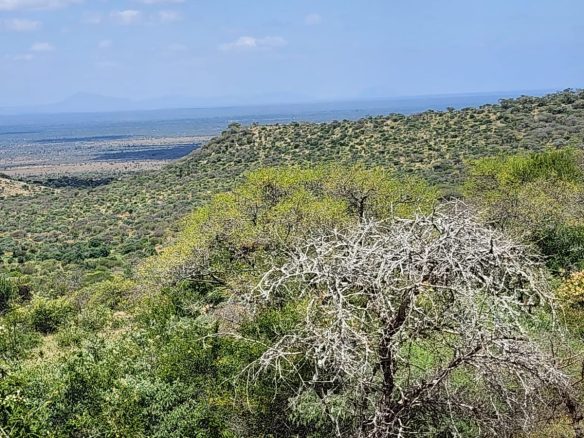 150 acre ranch for sale in Mailua Kajiado county