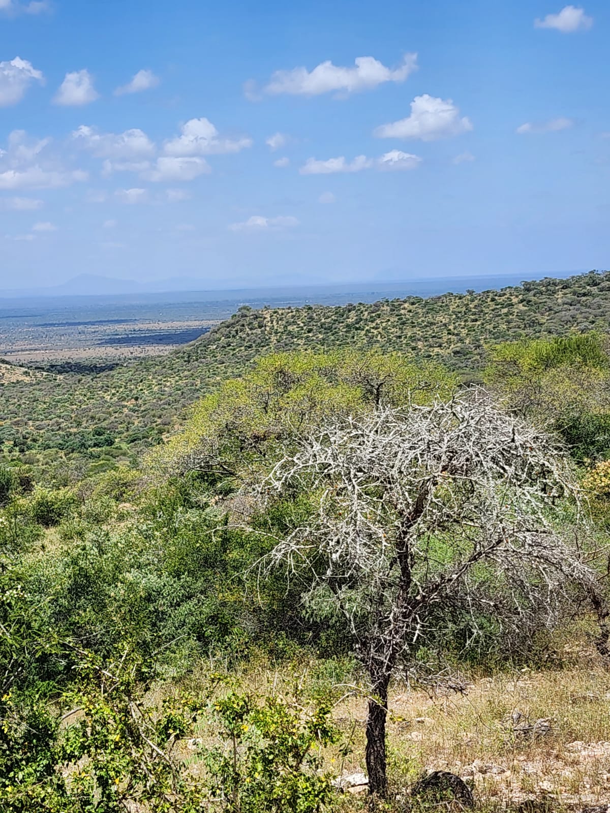 150 acre ranch for sale in Mailua Kajiado county