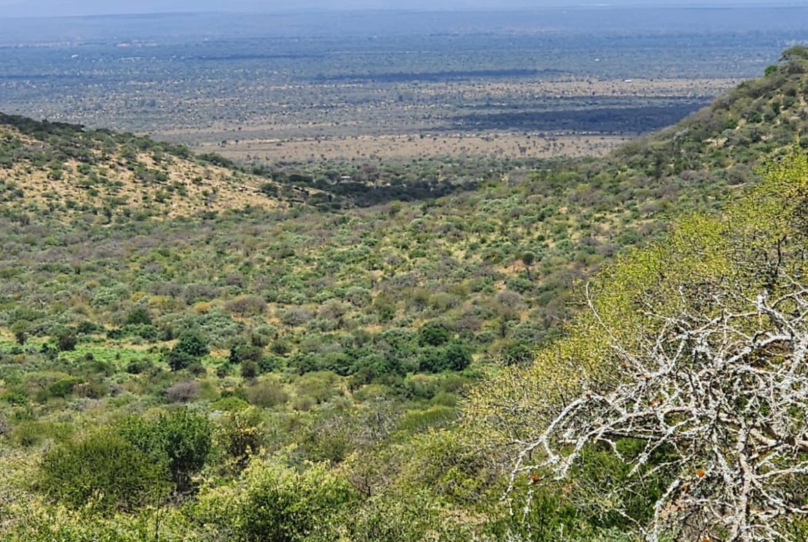 150 acre ranch for sale in Mailua Kajiado county