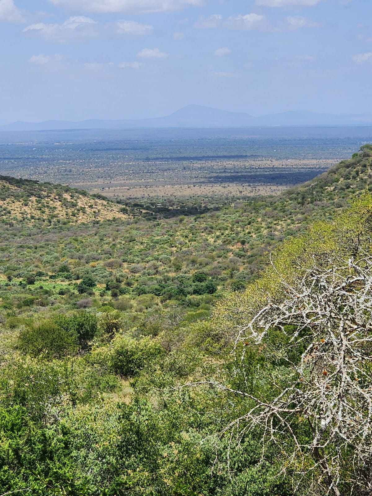 150 acre ranch for sale in Mailua Kajiado county