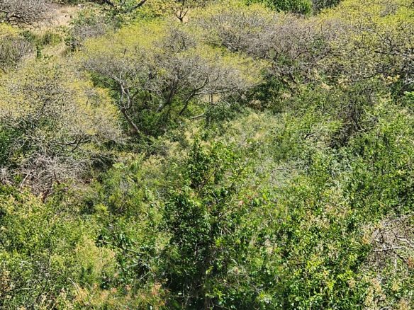 150 acre ranch for sale in Mailua Kajiado county