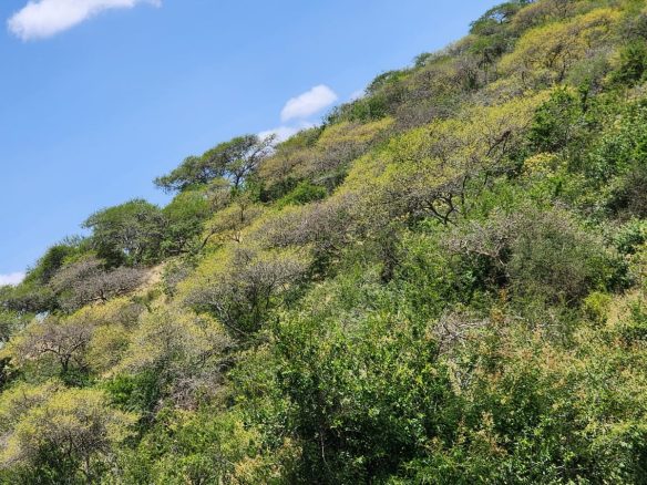 150 acre ranch for sale in Mailua Kajiado county