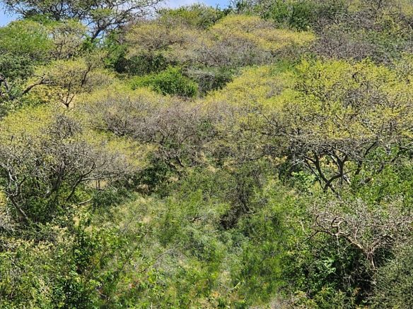 150 acre ranch for sale in Mailua Kajiado county