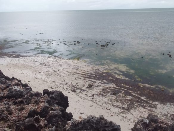 Jaranda Beach 3 acres for sale