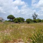 1 acre for sale in Watamu