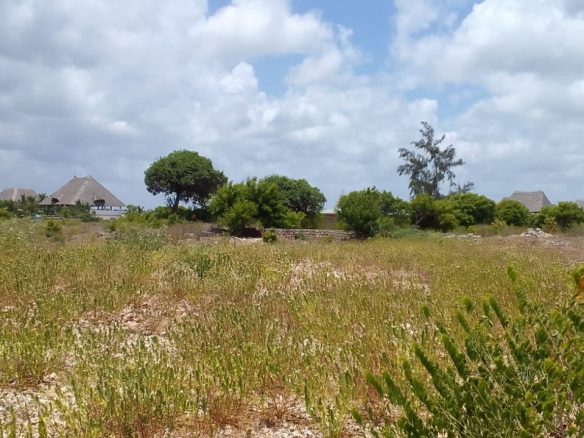 1 acre for sale in Watamu