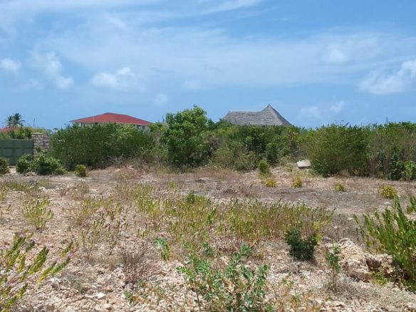 1 acre for sale in Watamu