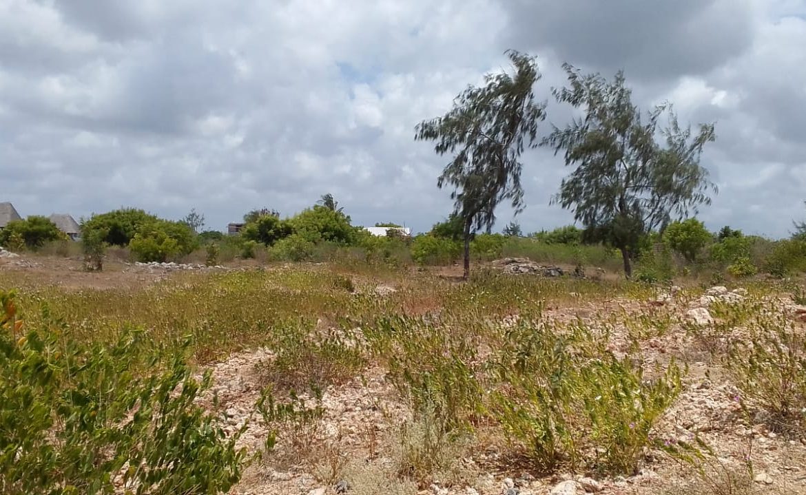 1 acre for sale in Watamu