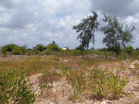 1 acre for sale in Watamu