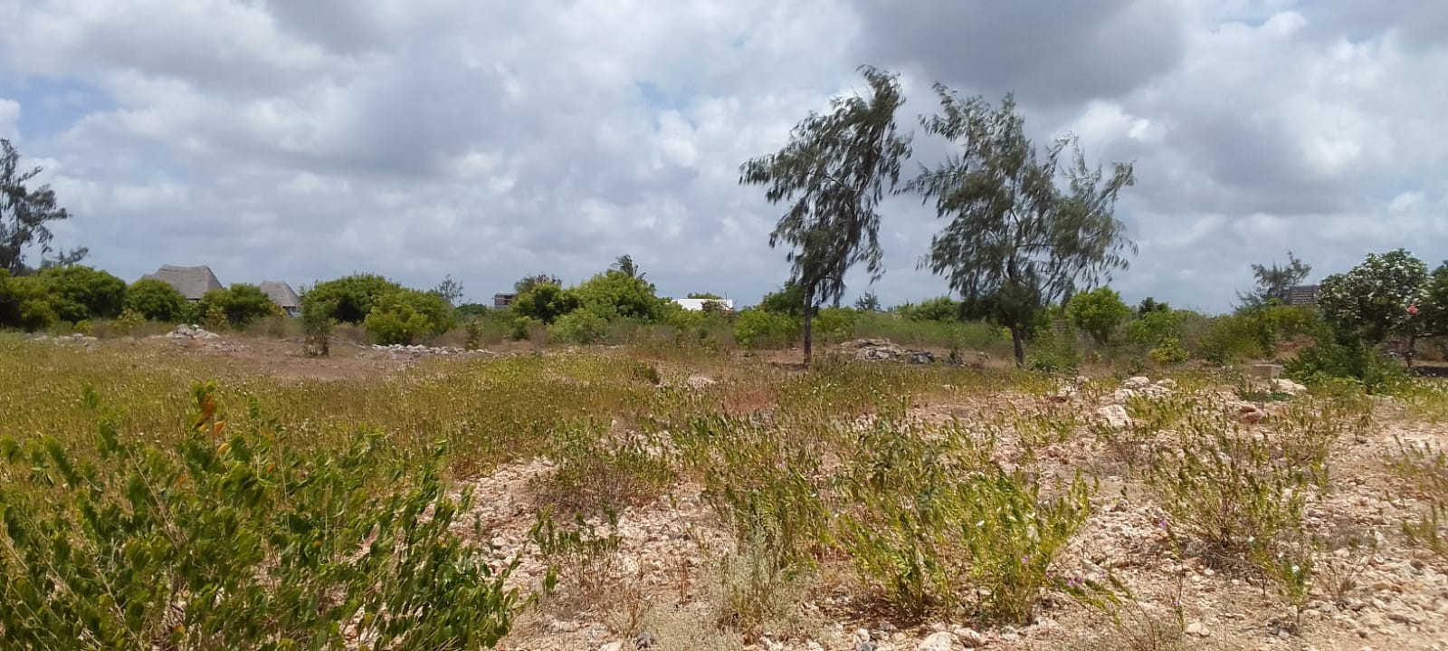 1 acre for sale in Watamu