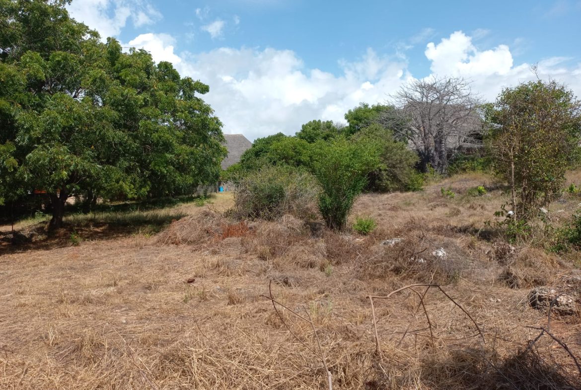 Beachfront 1.5 Acres for sale in Malindi Casuarina road