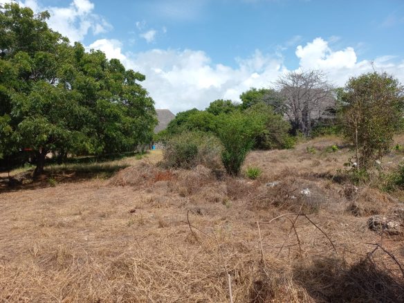 Beachfront 1.5 Acres for sale in Malindi Casuarina road