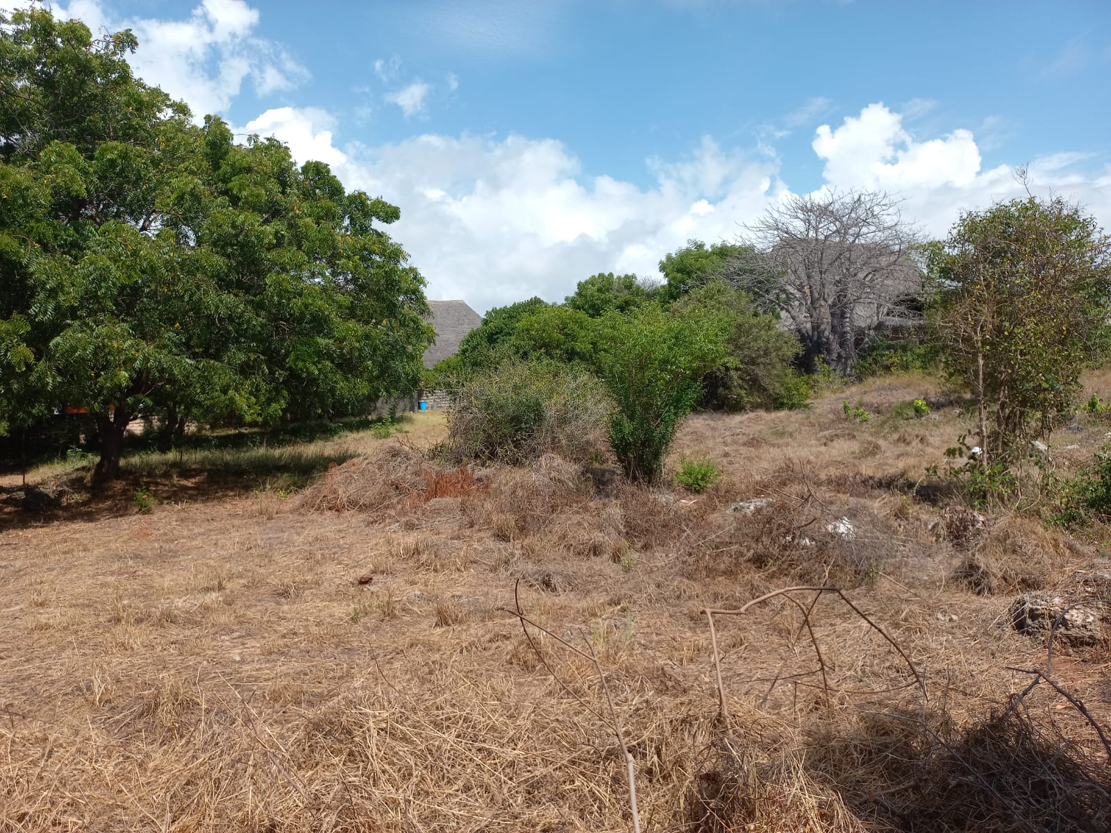 Beachfront 1.5 Acres for sale in Malindi Casuarina road