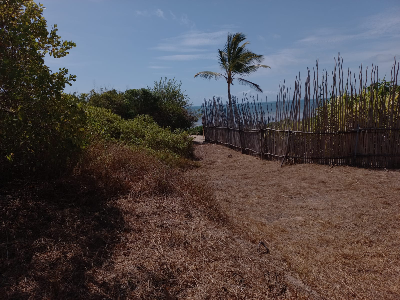 Beachfront 1.5 Acres for sale in Malindi Casuarina road