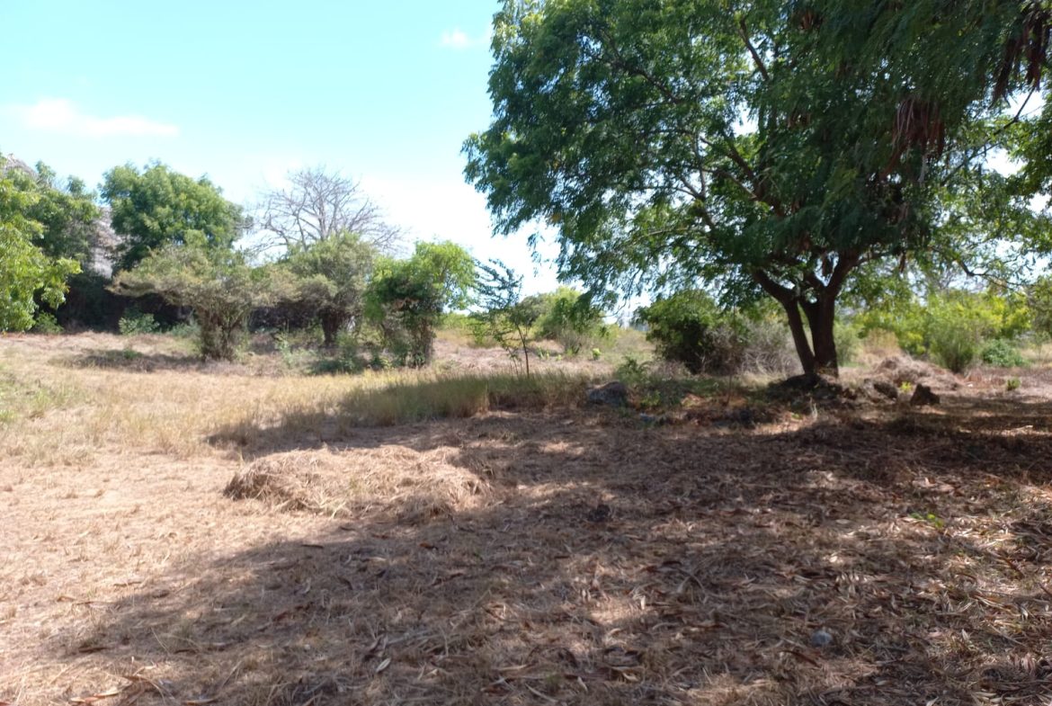 Beachfront 1.5 Acres for sale in Malindi Casuarina road