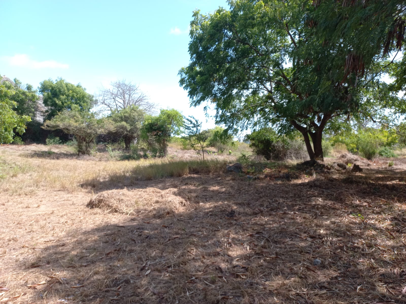 Beachfront 1.5 Acres for sale in Malindi Casuarina road