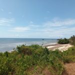 Beachfront 1.5 Acres for sale in Malindi Casuarina road