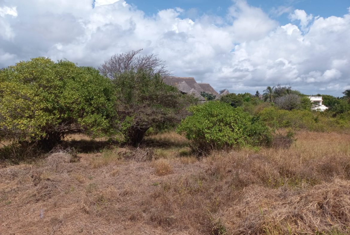 Beachfront 1.5 Acres for sale in Malindi Casuarina road