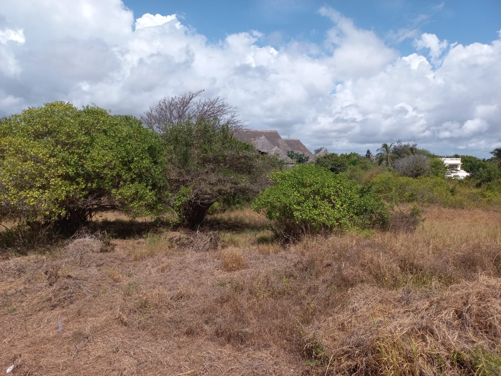 Beachfront 1.5 Acres for sale in Malindi Casuarina road