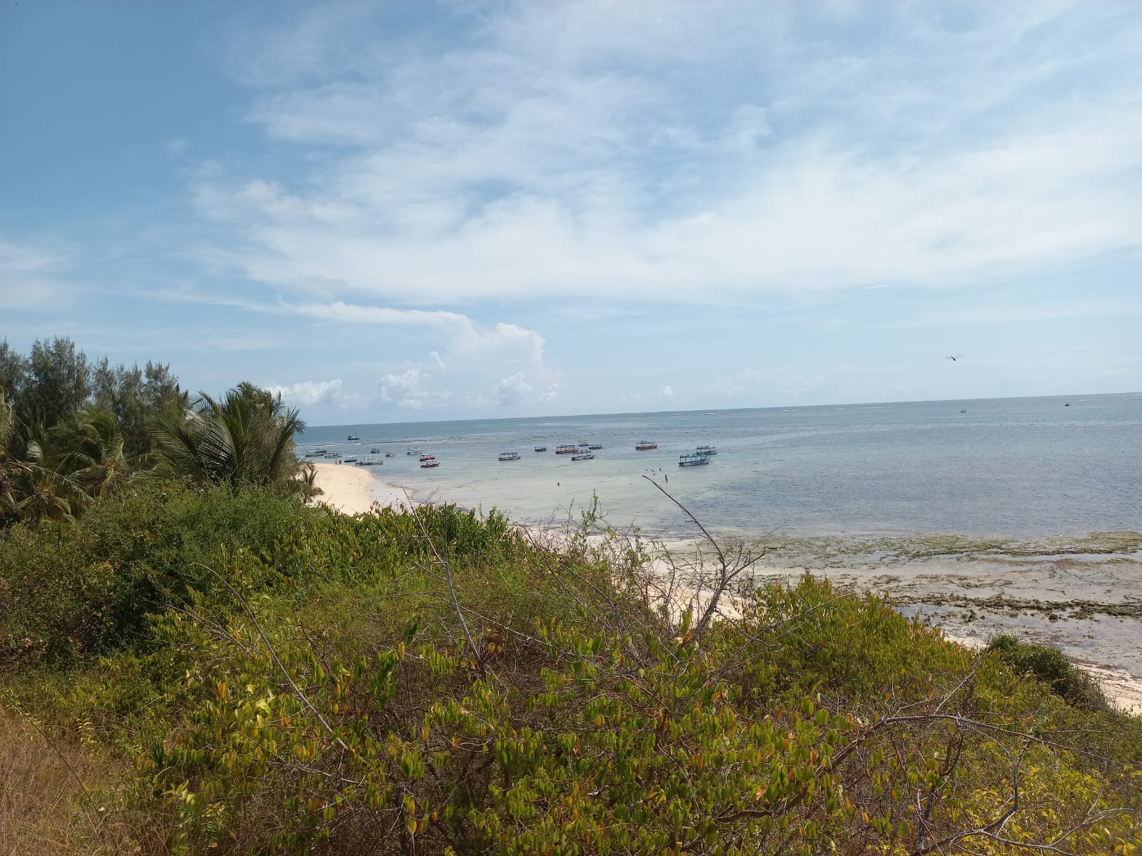 Beachfront 1.5 Acres for sale in Malindi Casuarina road