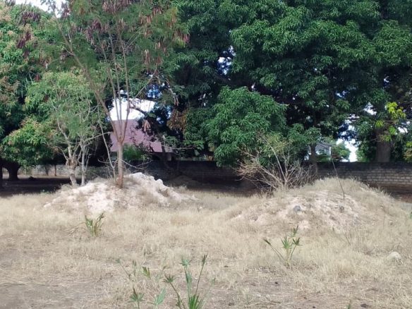 Residential land for sale in Mtangani, Malindi