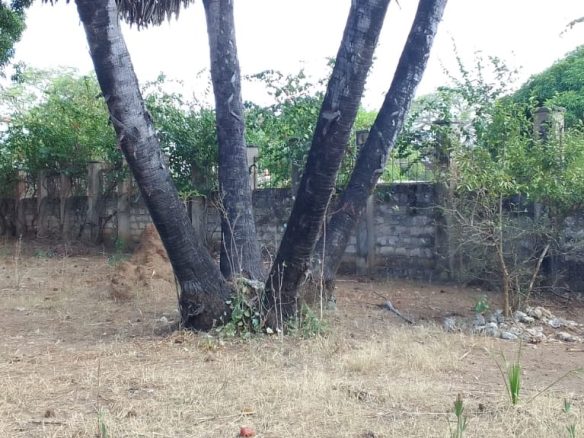 Residential land for sale in Mtangani, Malindi