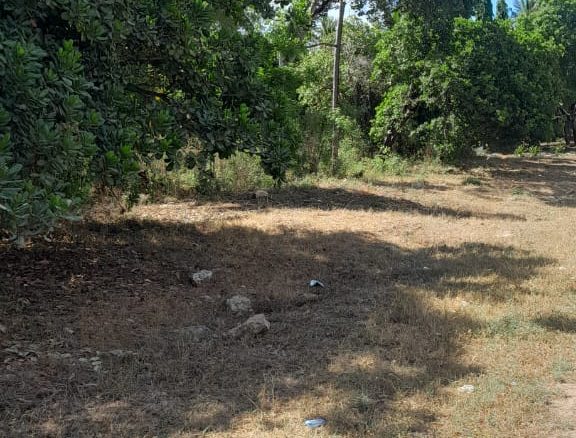 Land for sale in Kilifi, Mtondia