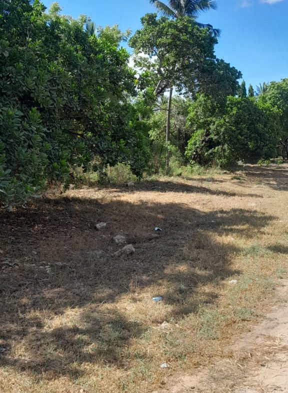 Land for sale in Kilifi, Mtondia