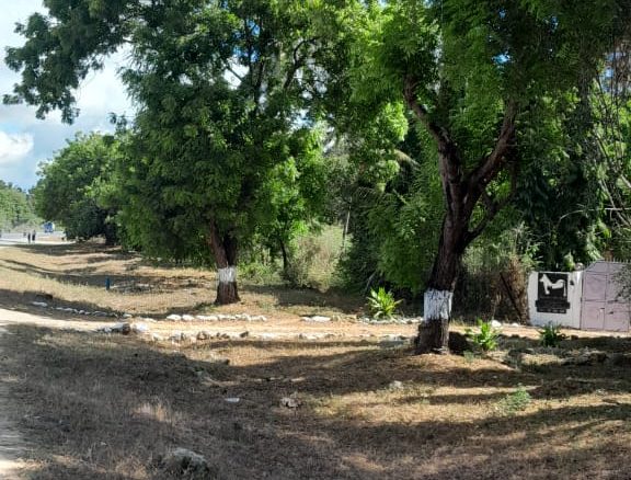Land for sale in Kilifi, Mtondia