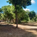 Land for sale in Kilifi, Mtondia