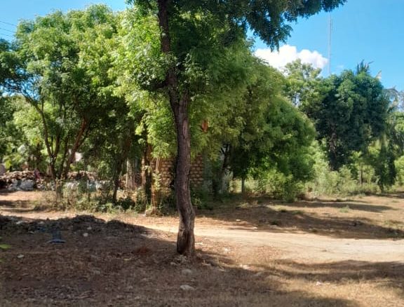 Land for sale in Kilifi, Mtondia