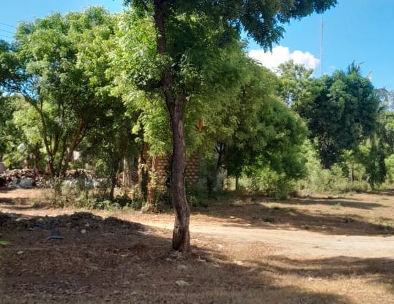 Land for sale in Kilifi, Mtondia