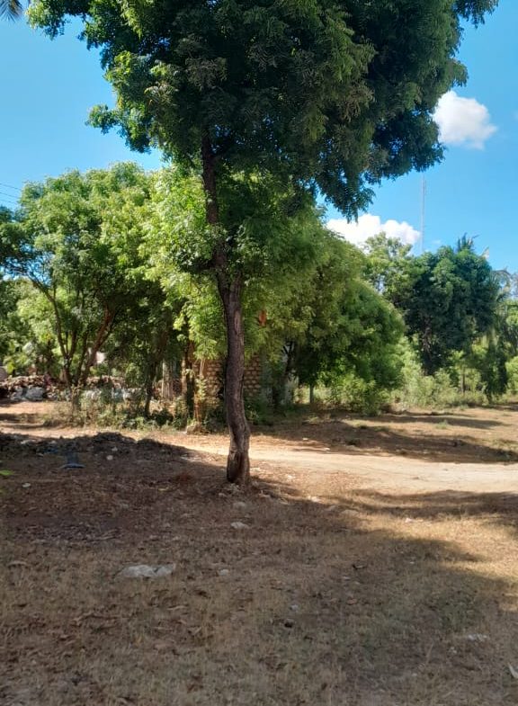 Land for sale in Kilifi, Mtondia