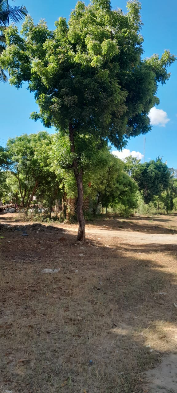 Land for sale in Kilifi, Mtondia