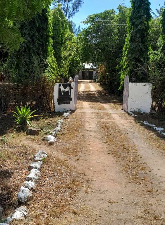 Land for sale in Kilifi, Mtondia