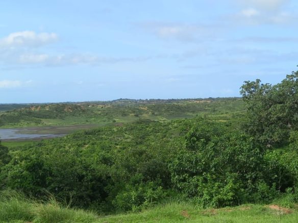 Amazing farm for sale in Malindi
