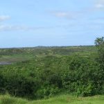 Amazing farm for sale in Malindi