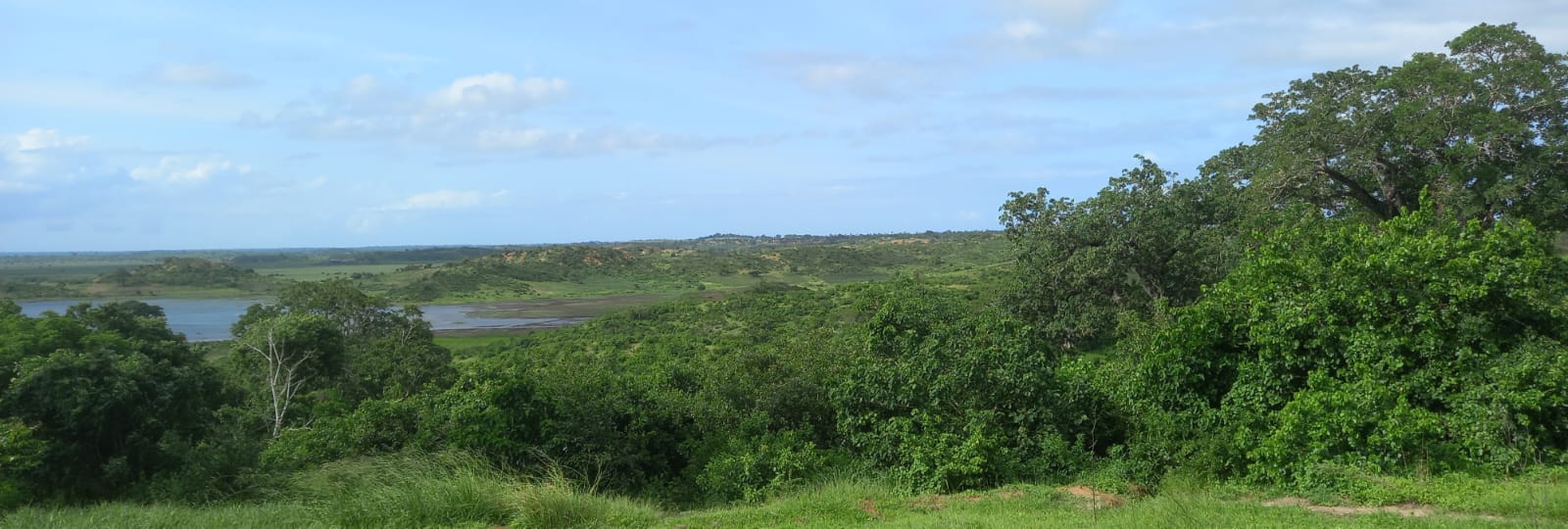 Amazing farm for sale in Malindi