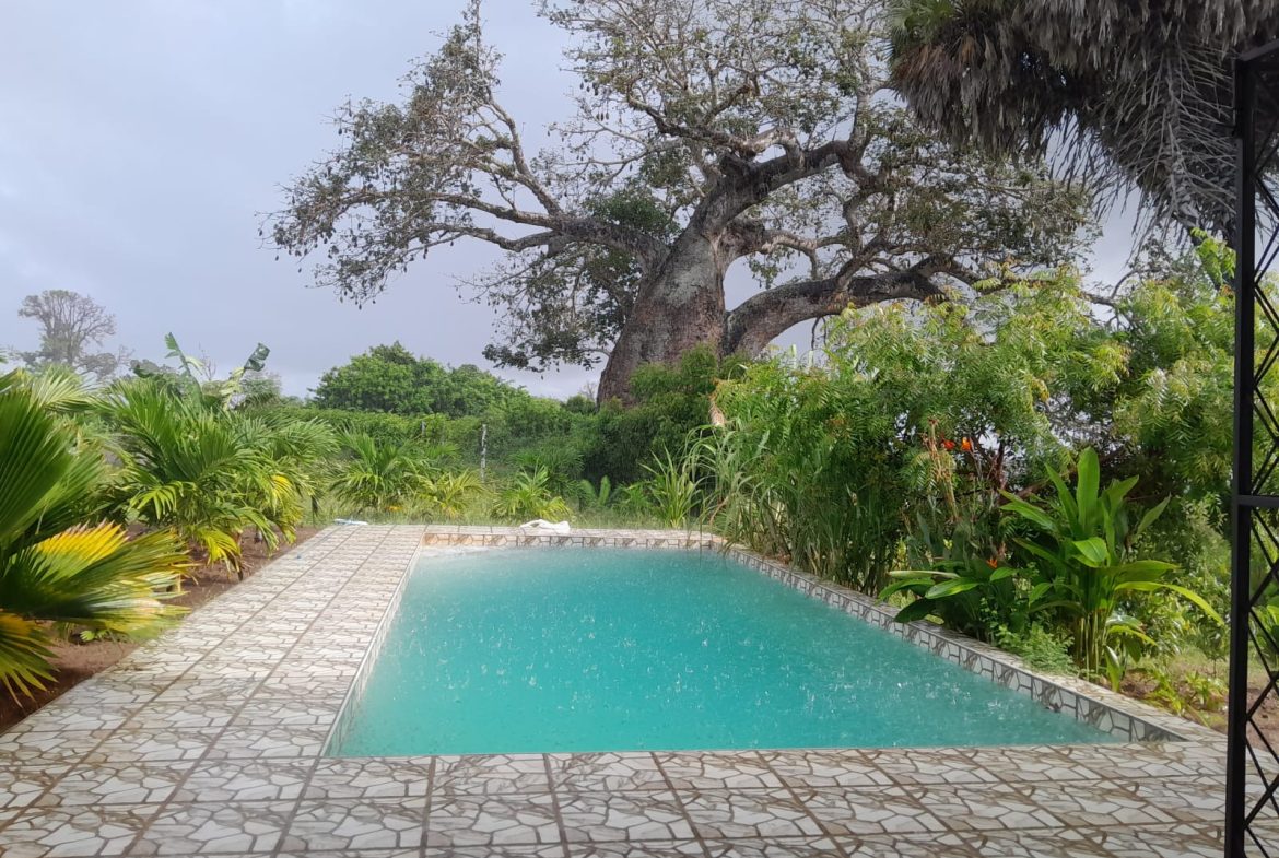 Amazing farm for sale in Malindi