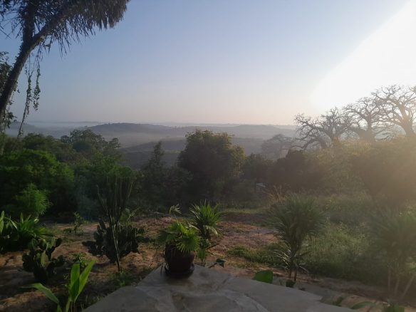 Amazing farm for sale in Malindi